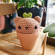 Load image into Gallery viewer, Pot Plant Sprout Buddies