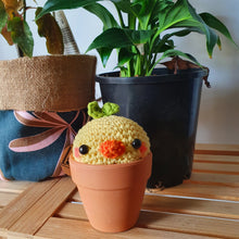 Load image into Gallery viewer, Pot Plant Sprout Buddies
