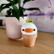 Load image into Gallery viewer, Pot Plant Sprout Buddies