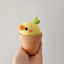 Load image into Gallery viewer, Pot Plant Sprout Buddies