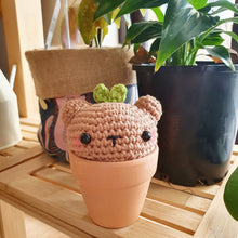 Load image into Gallery viewer, cute crochet pot plant bear sprout buddy
