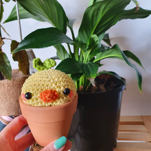 Load image into Gallery viewer, Pot Plant Sprout Buddies
