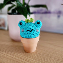Load image into Gallery viewer, Pot Plant Sprout Buddies
